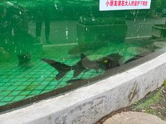 -天怡·鱼工厂(梅溪湖店)