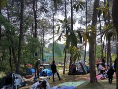 -铁山坪森林公园