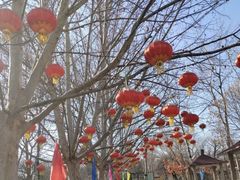 -丰台花园