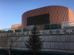 -中国宋庆龄青少年科技文化交流中心