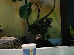 -霸王茶姬(北京路汇嘉店)
