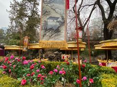 -白家大院·王府宫廷菜(苏州街店)