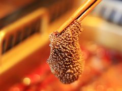 -九鼎轩脆毛肚火锅(铜山万达店)