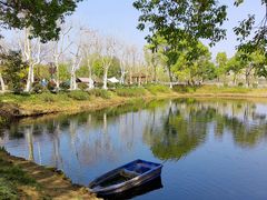 -金银湖国家城市湿地公园