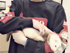 -藦茜花园宠物主题亲子互动体验馆(国顺东路店)