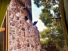 -J Create城市露营咖啡·简餐·宠物(上海动物园店)