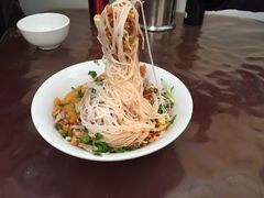 -邓氏大薄片