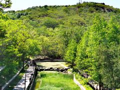-白水寺森林公园