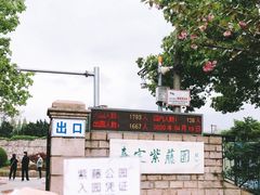 -嘉定紫藤园