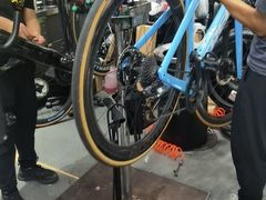 -TREK崔克自行车(碧云店)