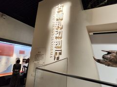 -国家自然博物馆