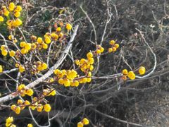 -钰园(水绘园店)