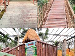 -呀路古热带植物园