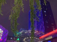 -苏梅花园(群星城店)