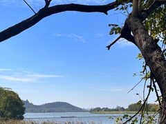 -东湖落雁景区