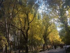 -森林公园(尖草坪区)