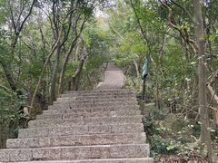 -紫金山山顶公园
