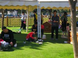 -萌宠亲子动物乐园(槐房万达店)