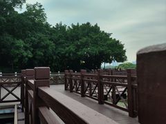 -南宁南湖公园