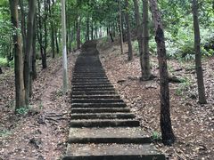 -滴水岩森林公园