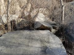 -白水寺森林公园
