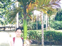 -海南槟榔谷黎苗文化旅游区