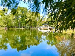 -上海共青森林公园