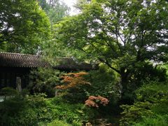 -上海醉白池公园