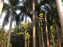 -广州雕塑公园