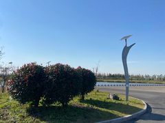 -盐城丹顶鹤湿地生态旅游区