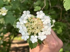 -燕郊植物园