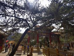 -潭柘寺景区