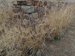 -盘龙城国家考古遗址公园