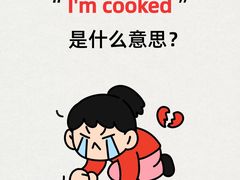-菠萝国际教育留学·AL·IG·IB·AP·雅思托福(静安校区)