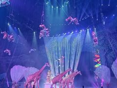 -广州长隆国际大马戏