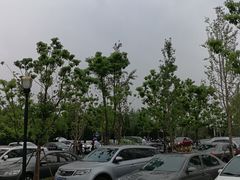 -上海浦江郊野公园-2号停车场