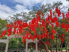 -人民公园(罗湖区)