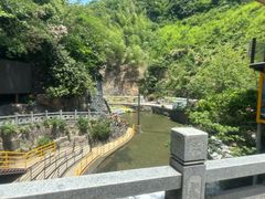 -将军关探险漂流