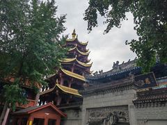 -磁器口古镇