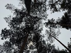 -黑龙江省森林植物园