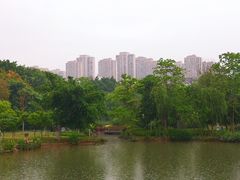 -金山公园