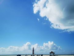 -东郊椰林