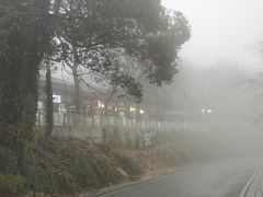 -茶颜悦色(岳麓山顶店)