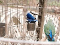 -栾川竹海野生动物园