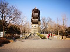 -玲珑塔公园