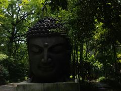 -杭州植物园