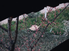 -望江楼公园