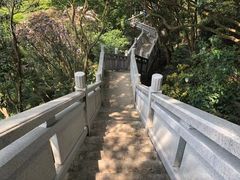 -梧桐山风景名胜区