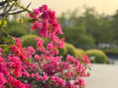 -河源客家文化公园