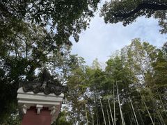 -望江楼公园